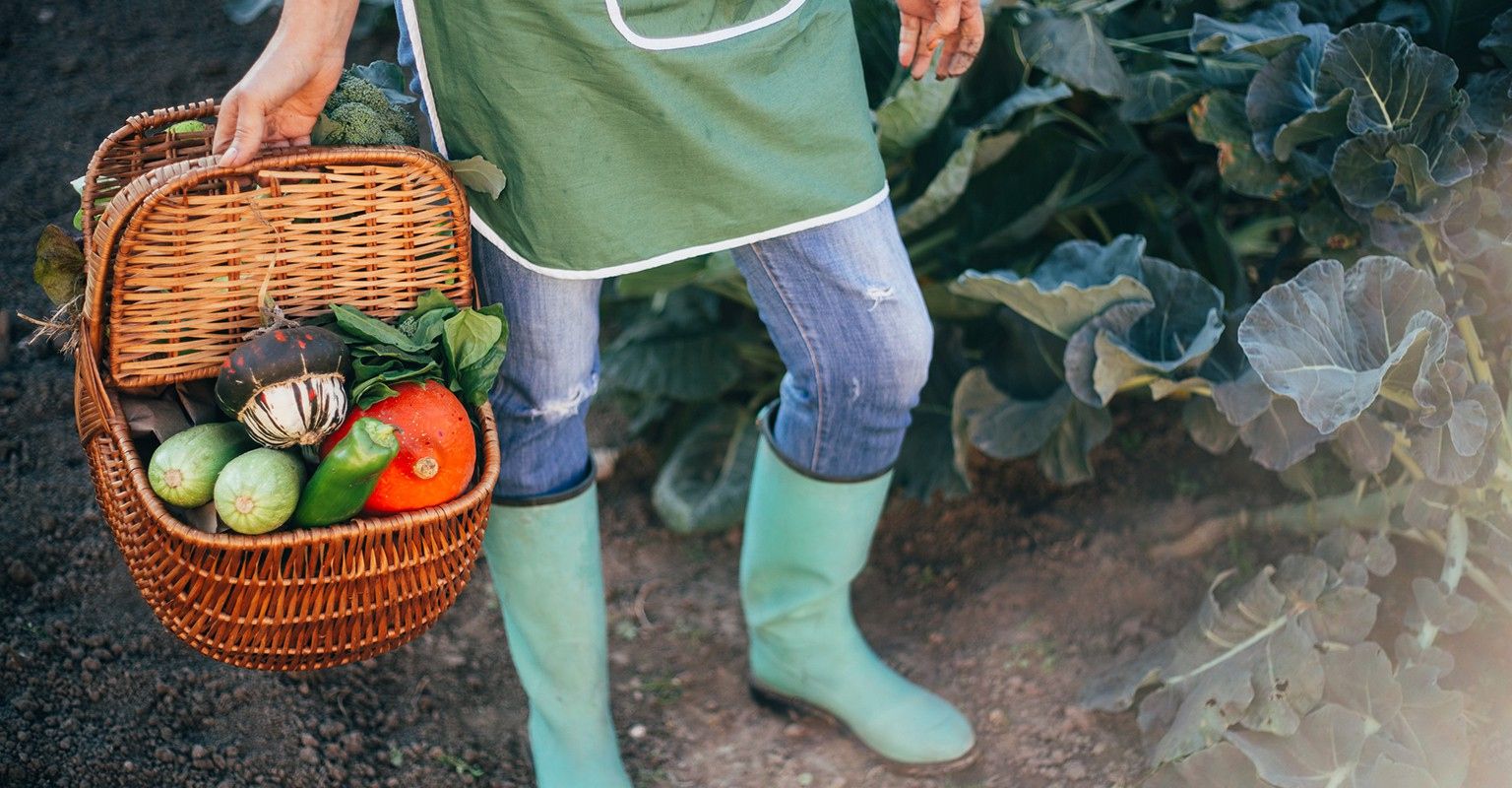 The 10 Best Gardening Services in Broken Arrow, OK 2019