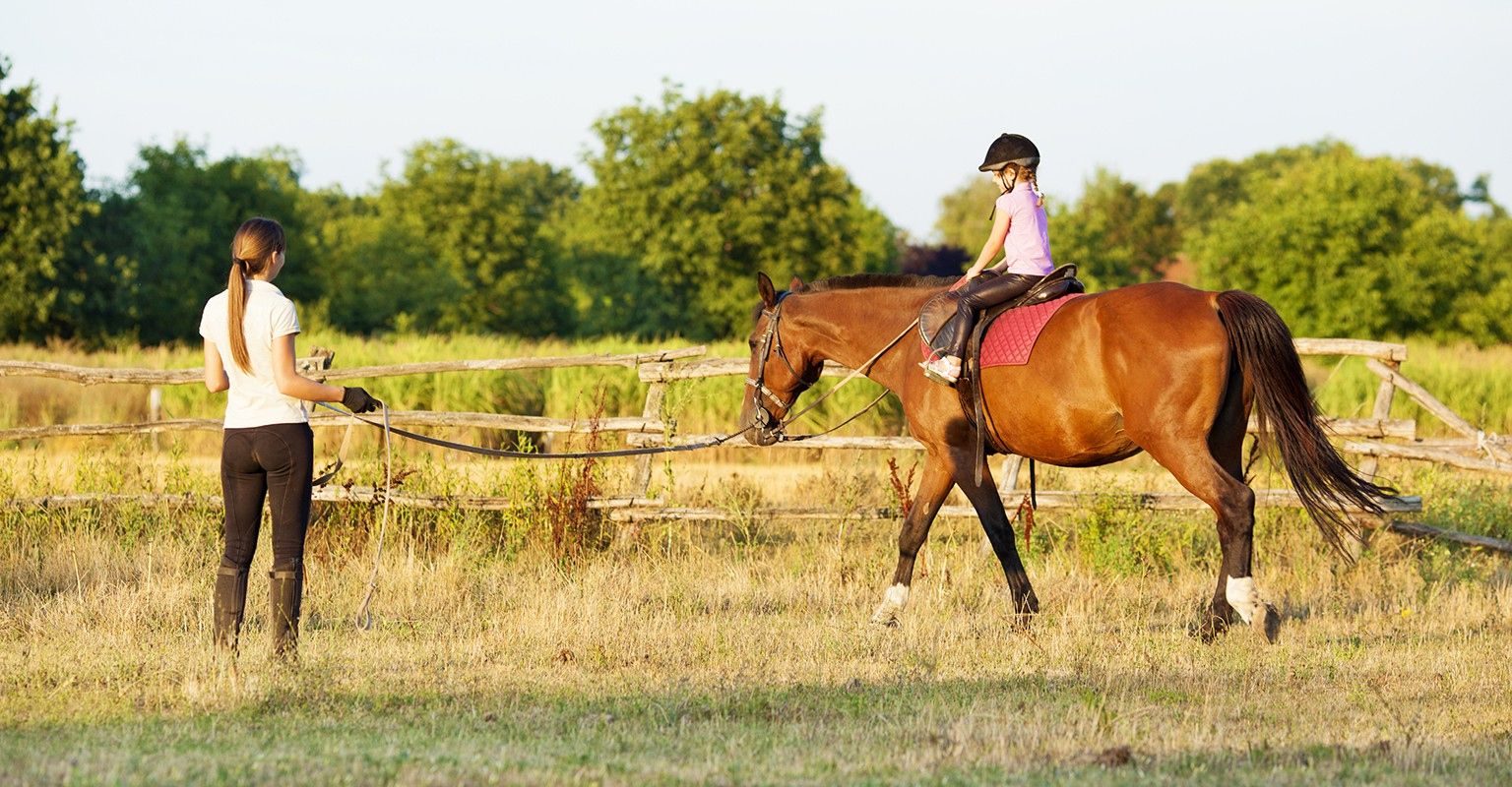 The 10 Best Horseback Riding Lessons In Fort Collins CO 2019
