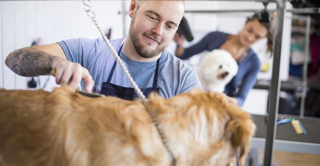 dogs hair cutting salon near me