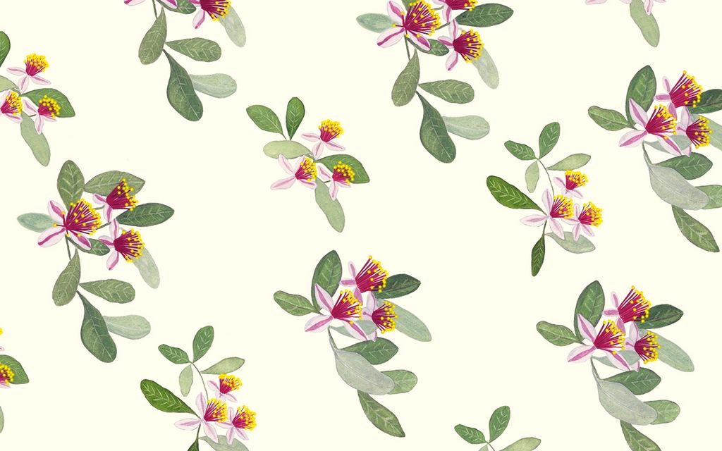 Average Wallpaper Installation Cost With Factors Wallpaper Installation Cost