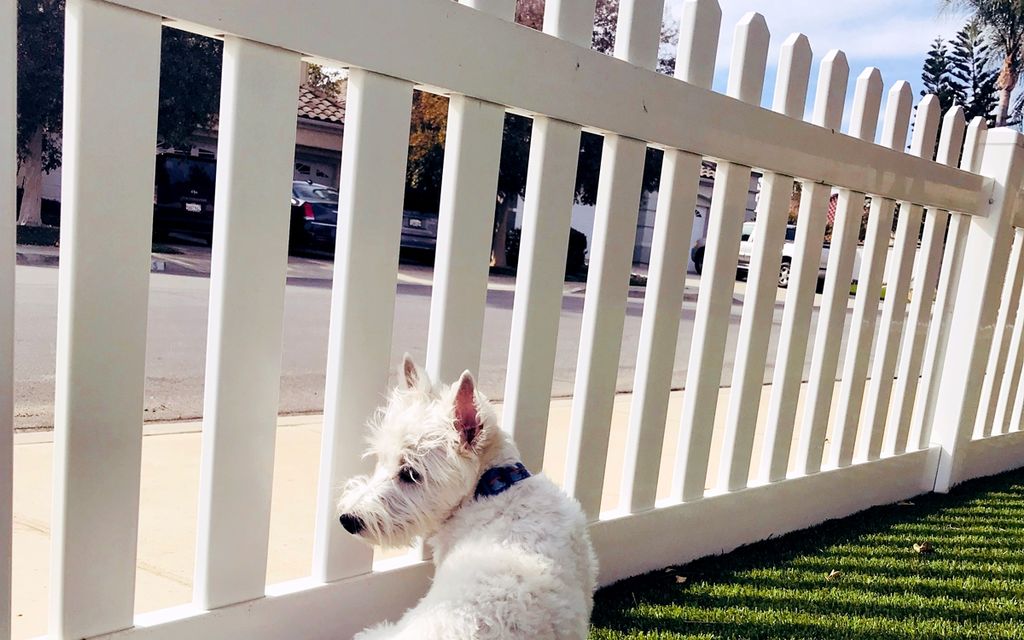 2020 Average Vinyl Fence Cost